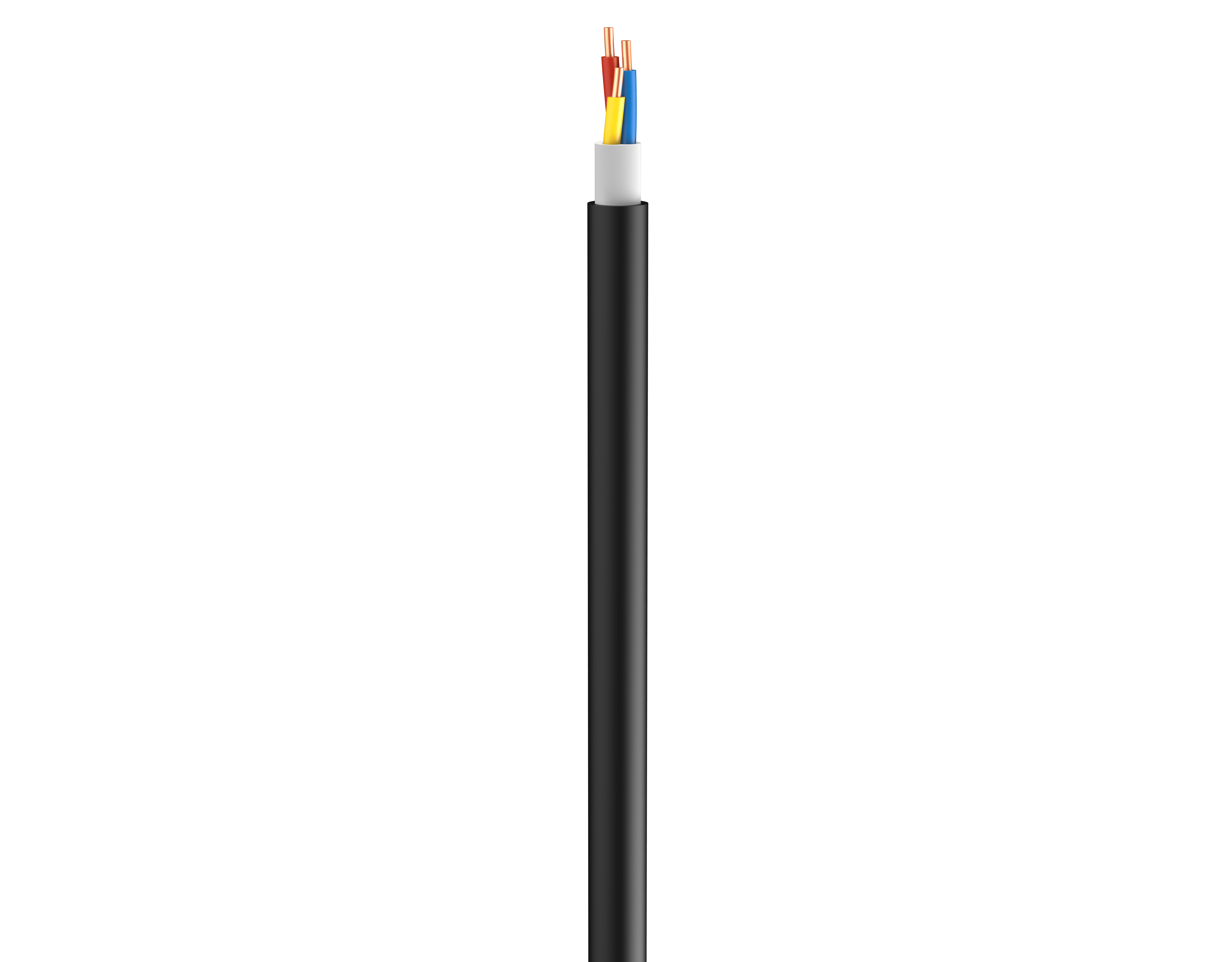 Vertical Image