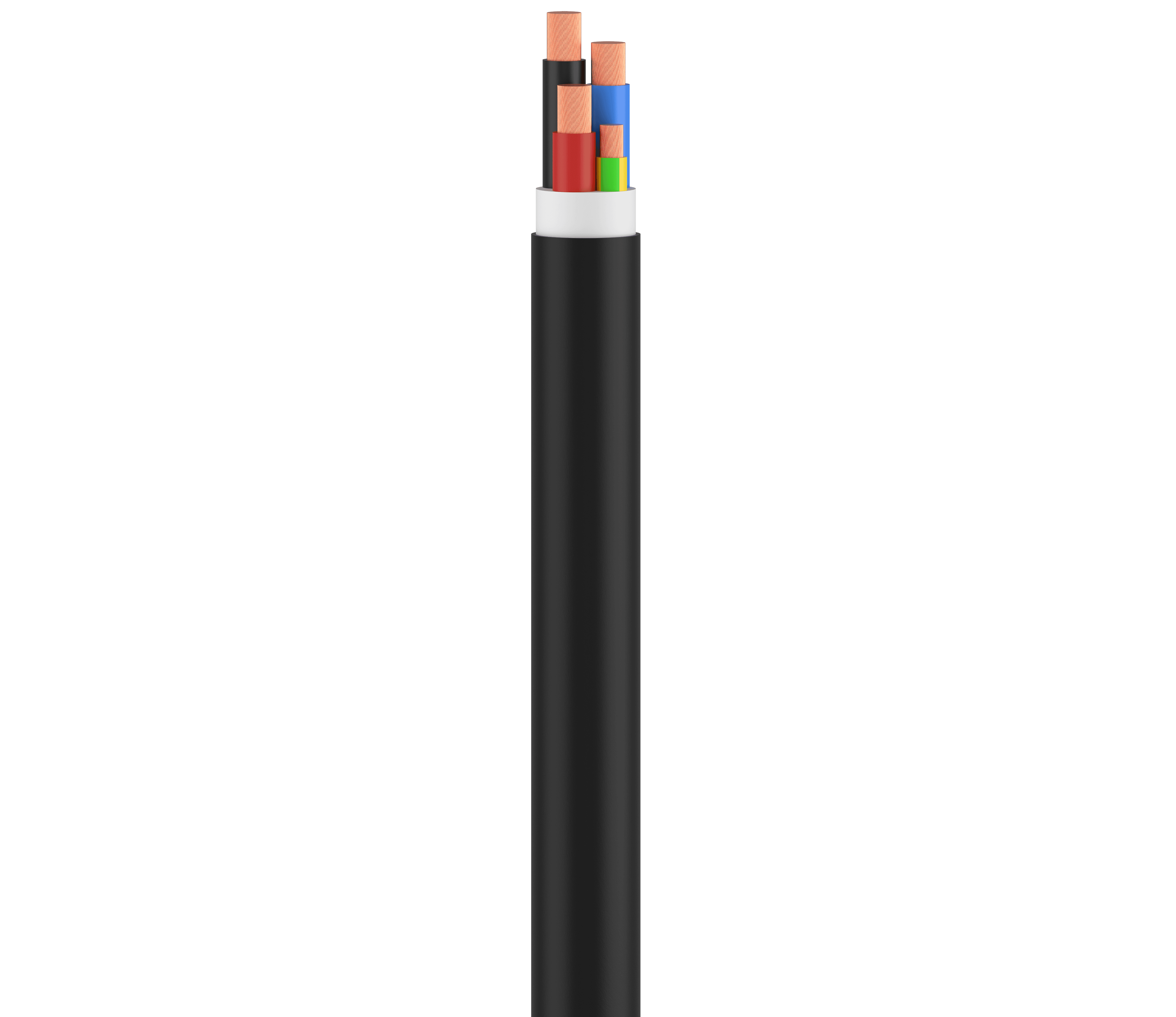 Vertical Image