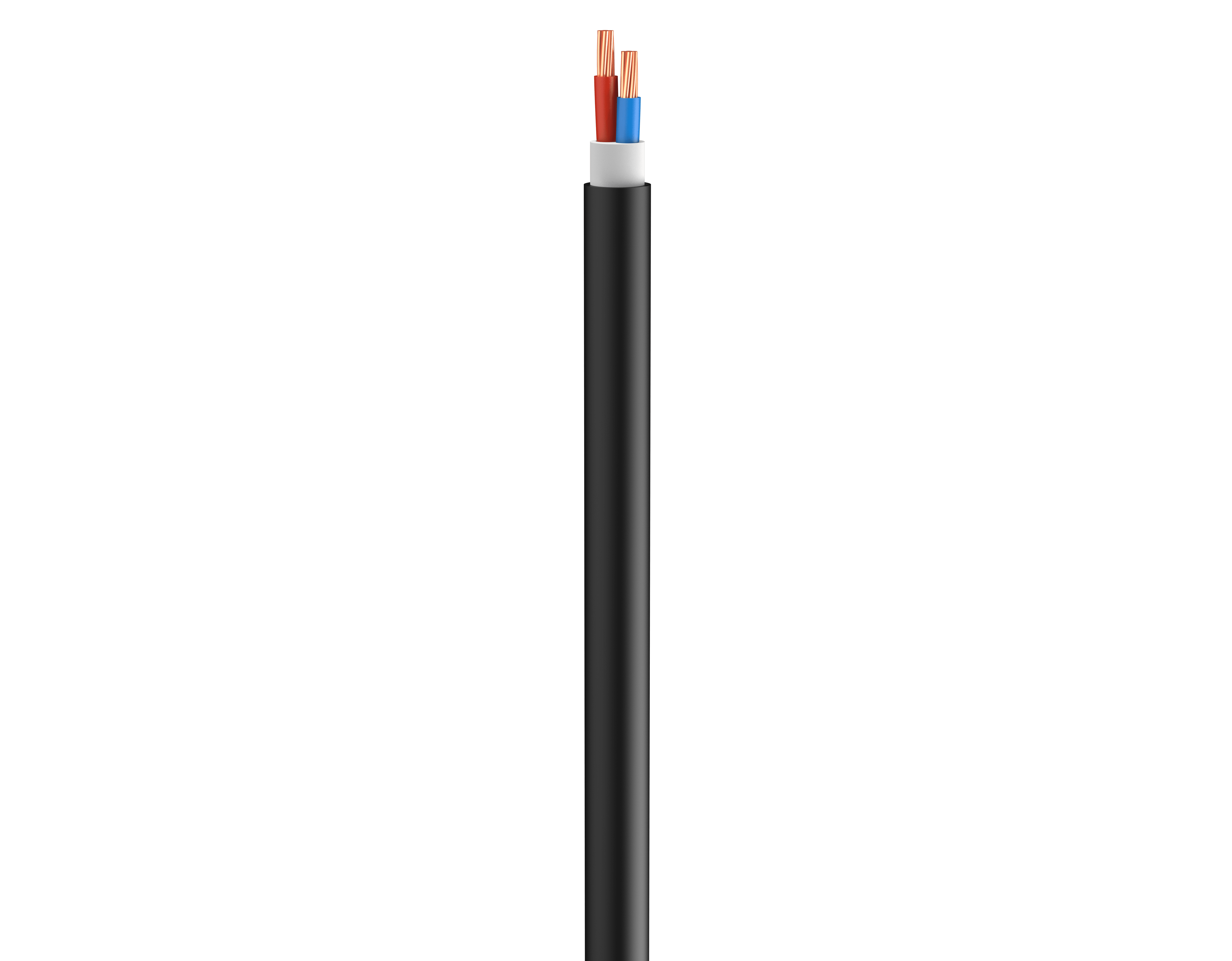 Vertical Image