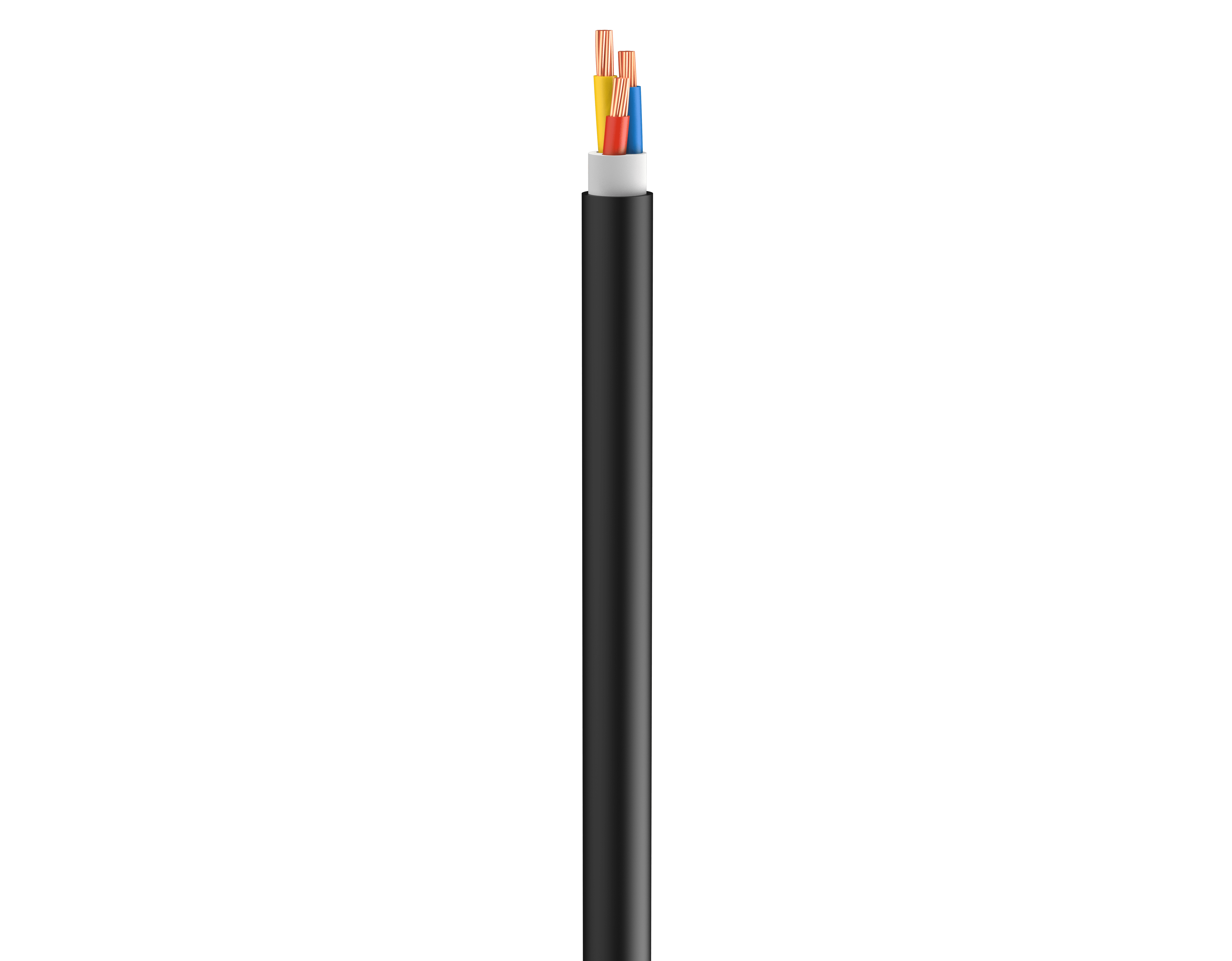 Vertical Image