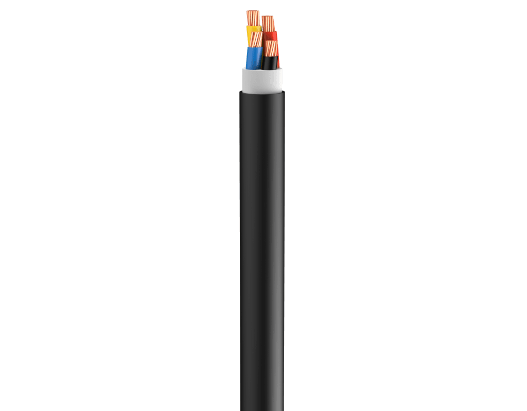 Vertical Image