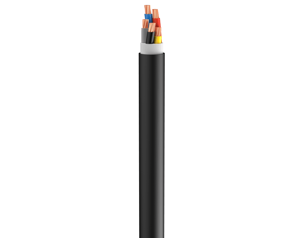 Vertical Image