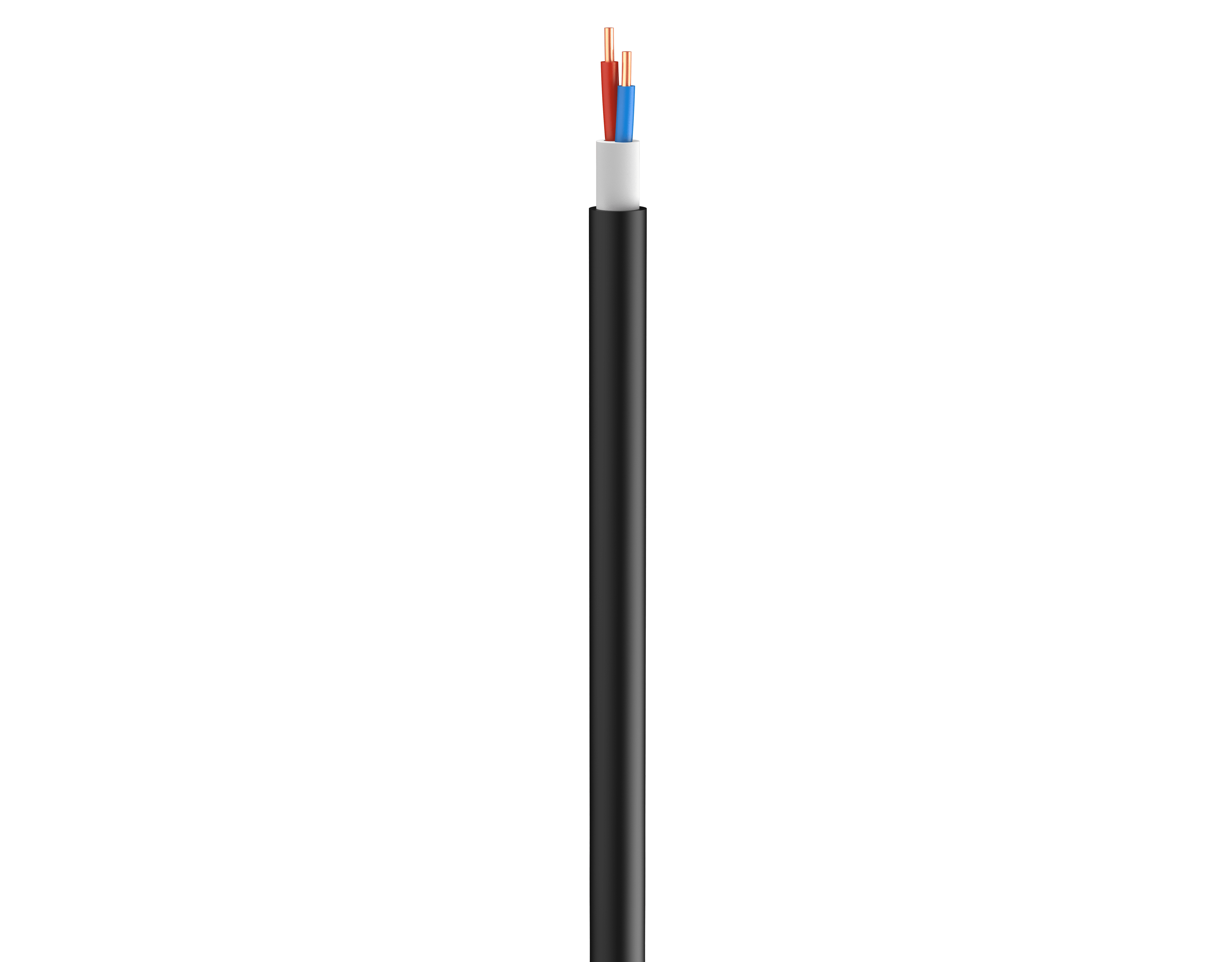 Vertical Image