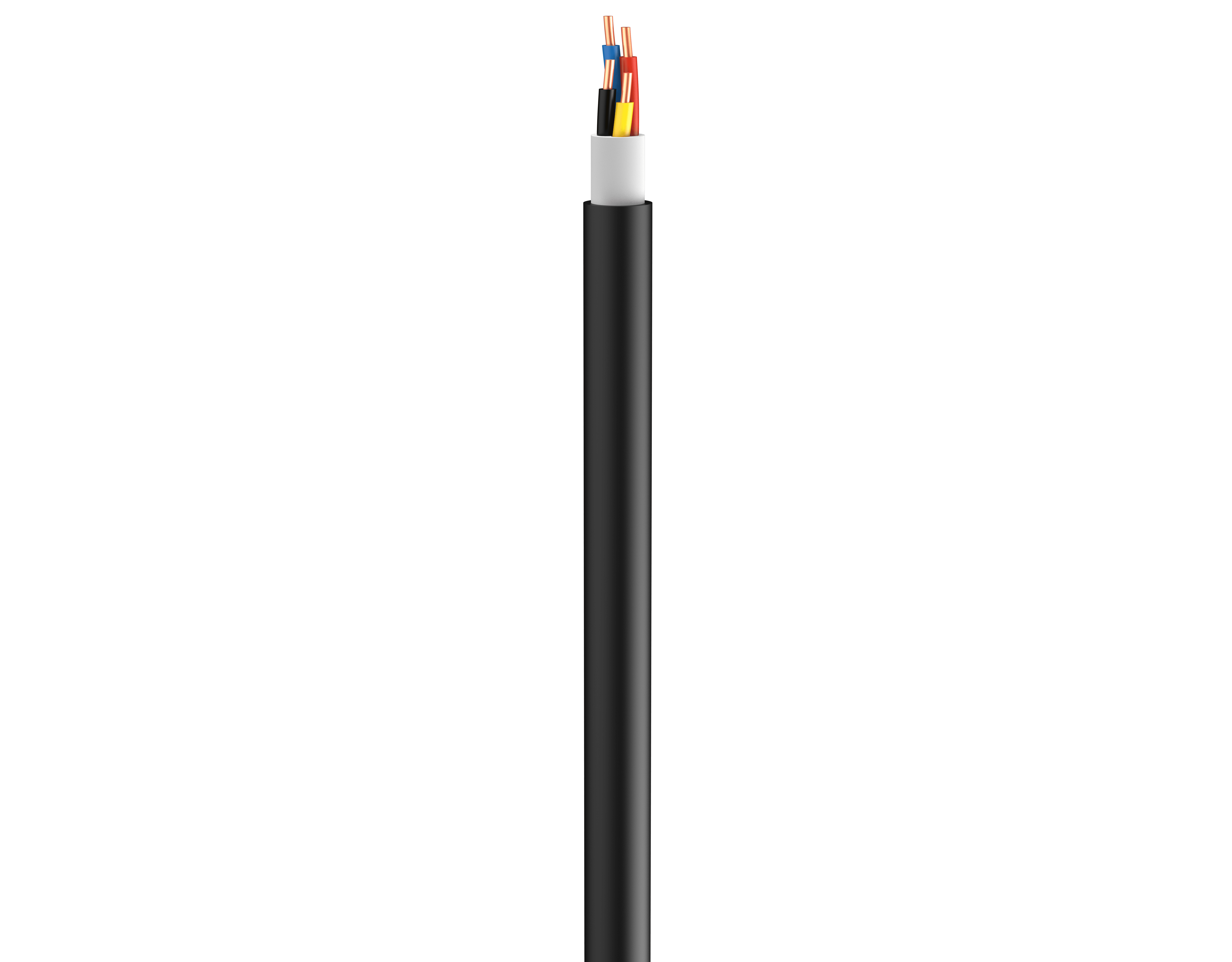 Vertical Image