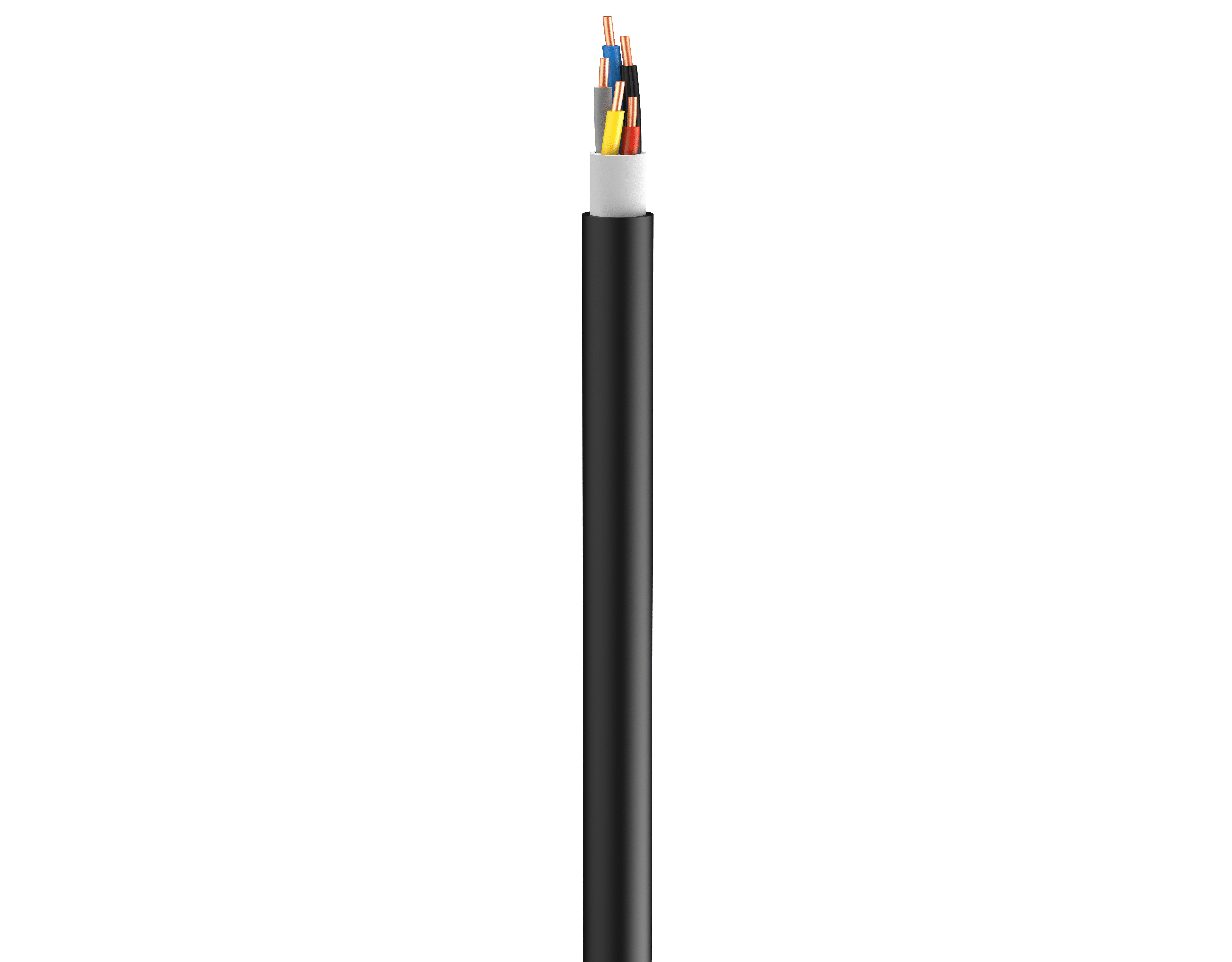 Vertical Image