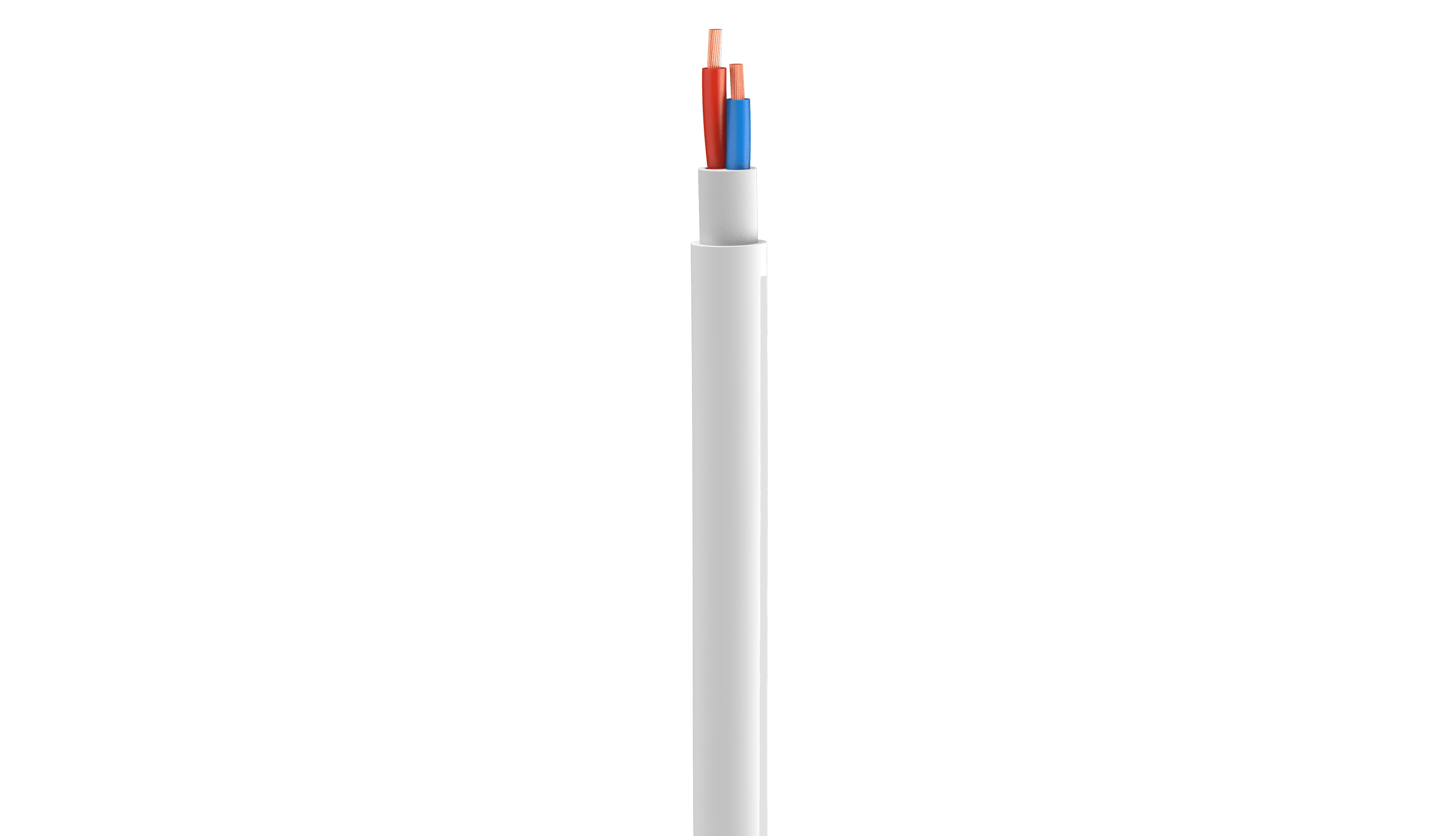 Vertical Image
