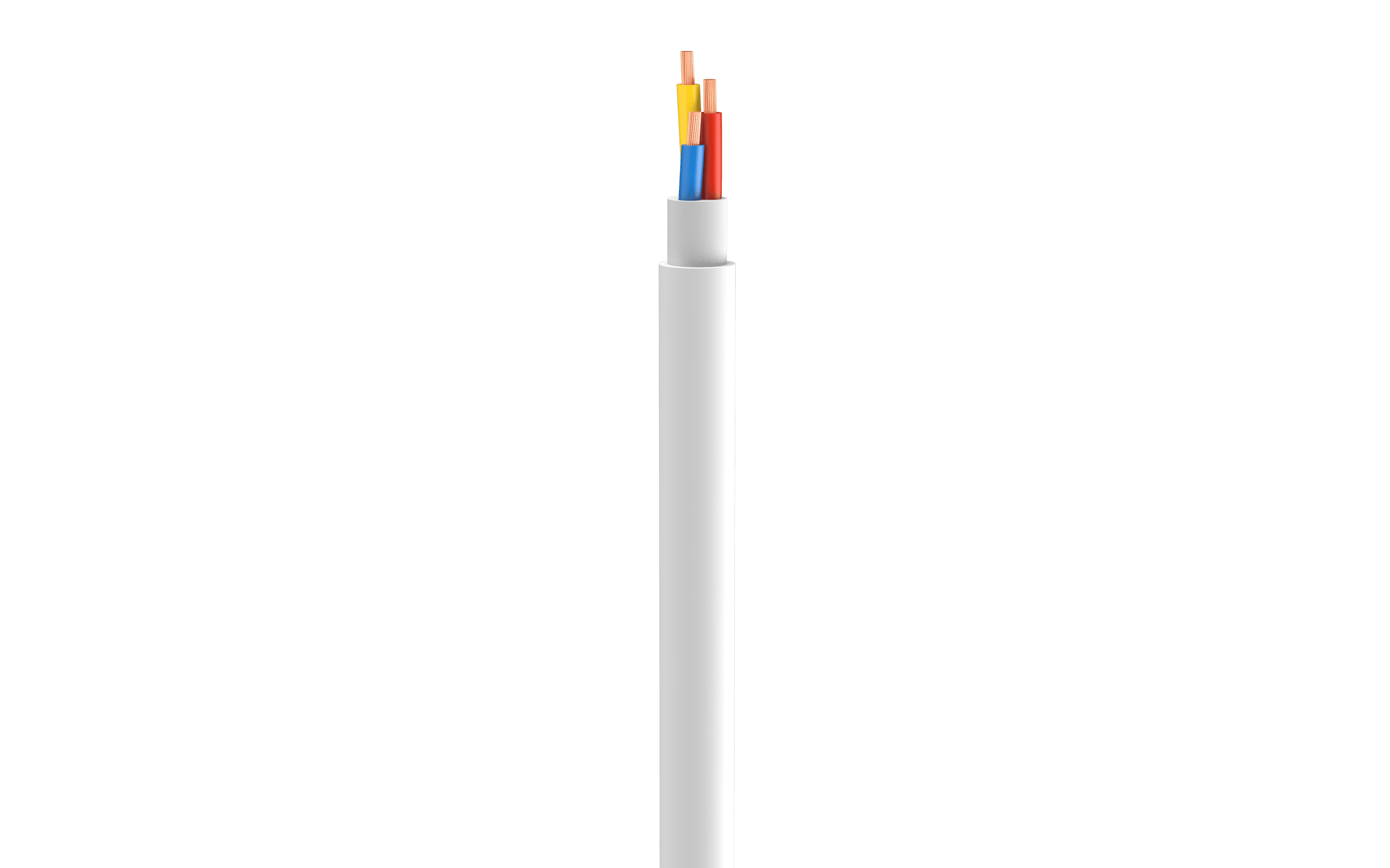 Vertical Image