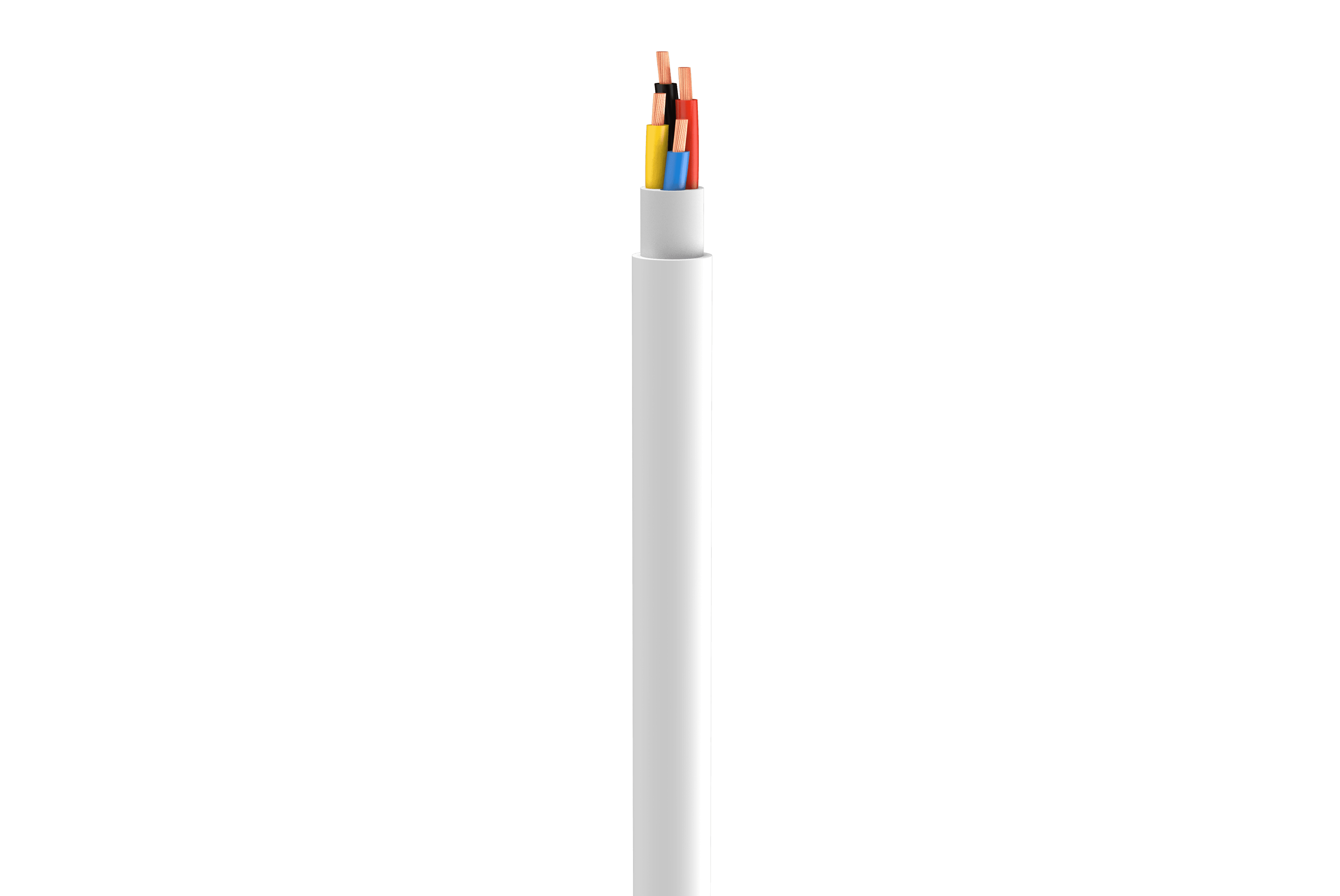 Vertical Image