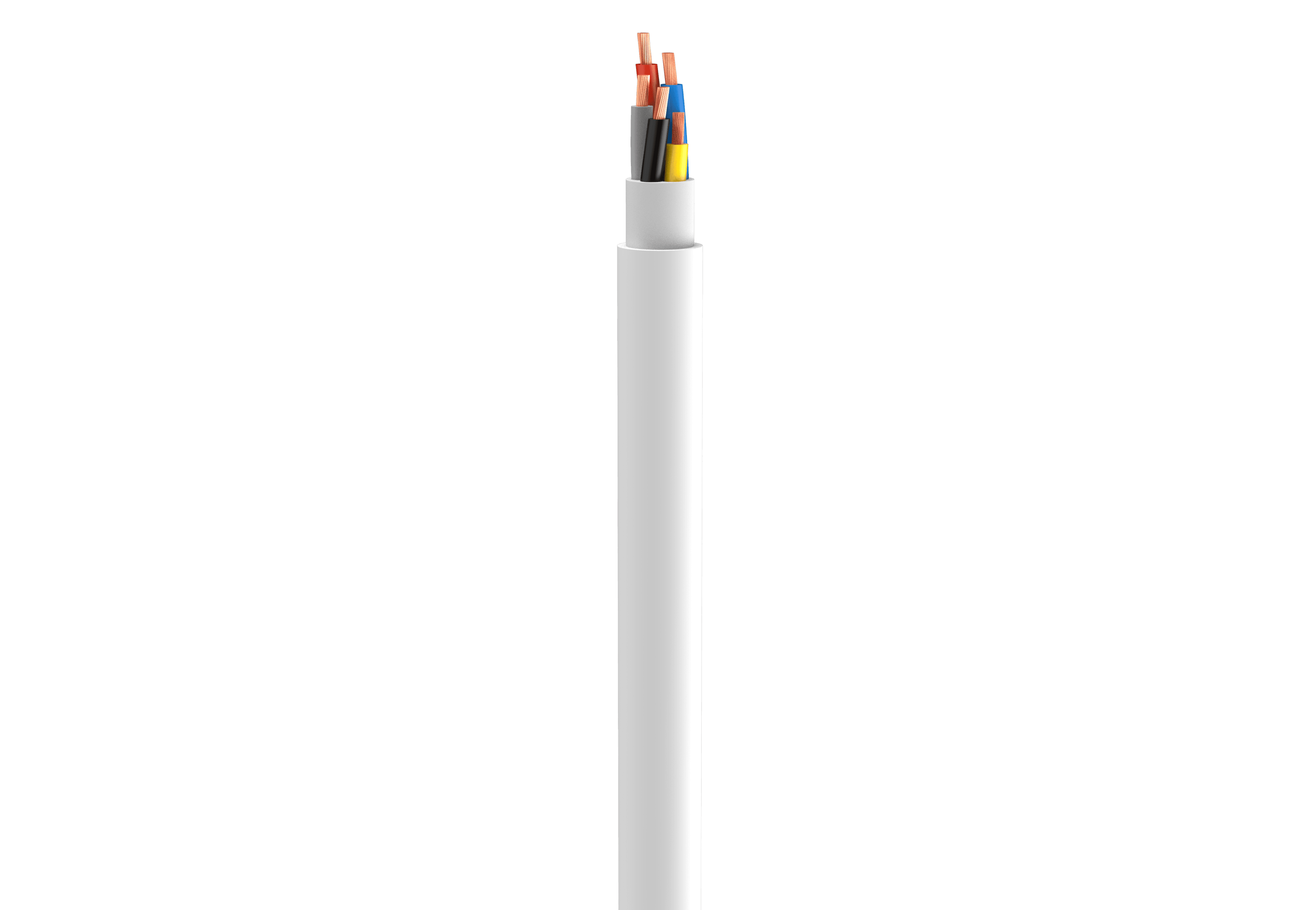 Vertical Image