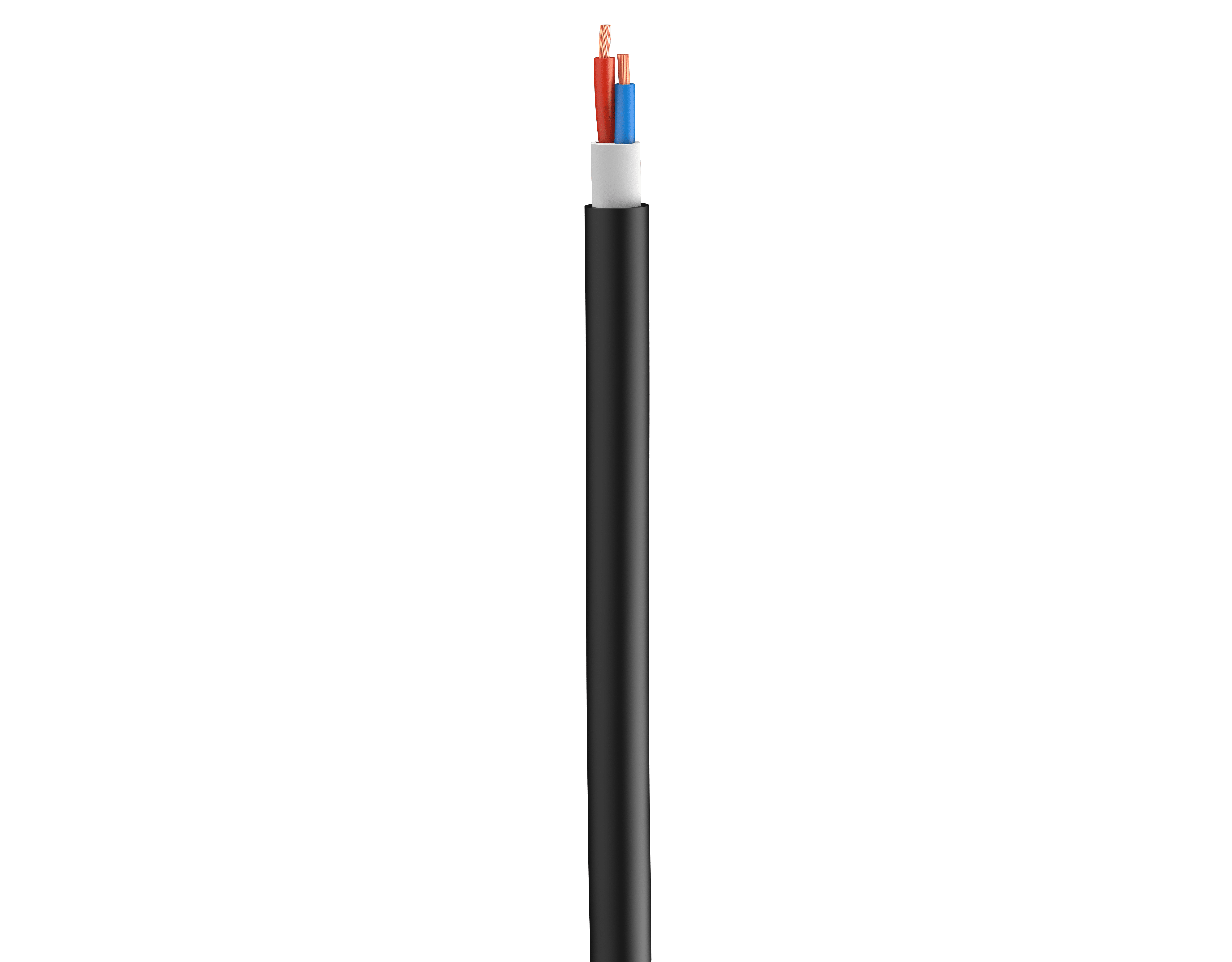 Vertical Image