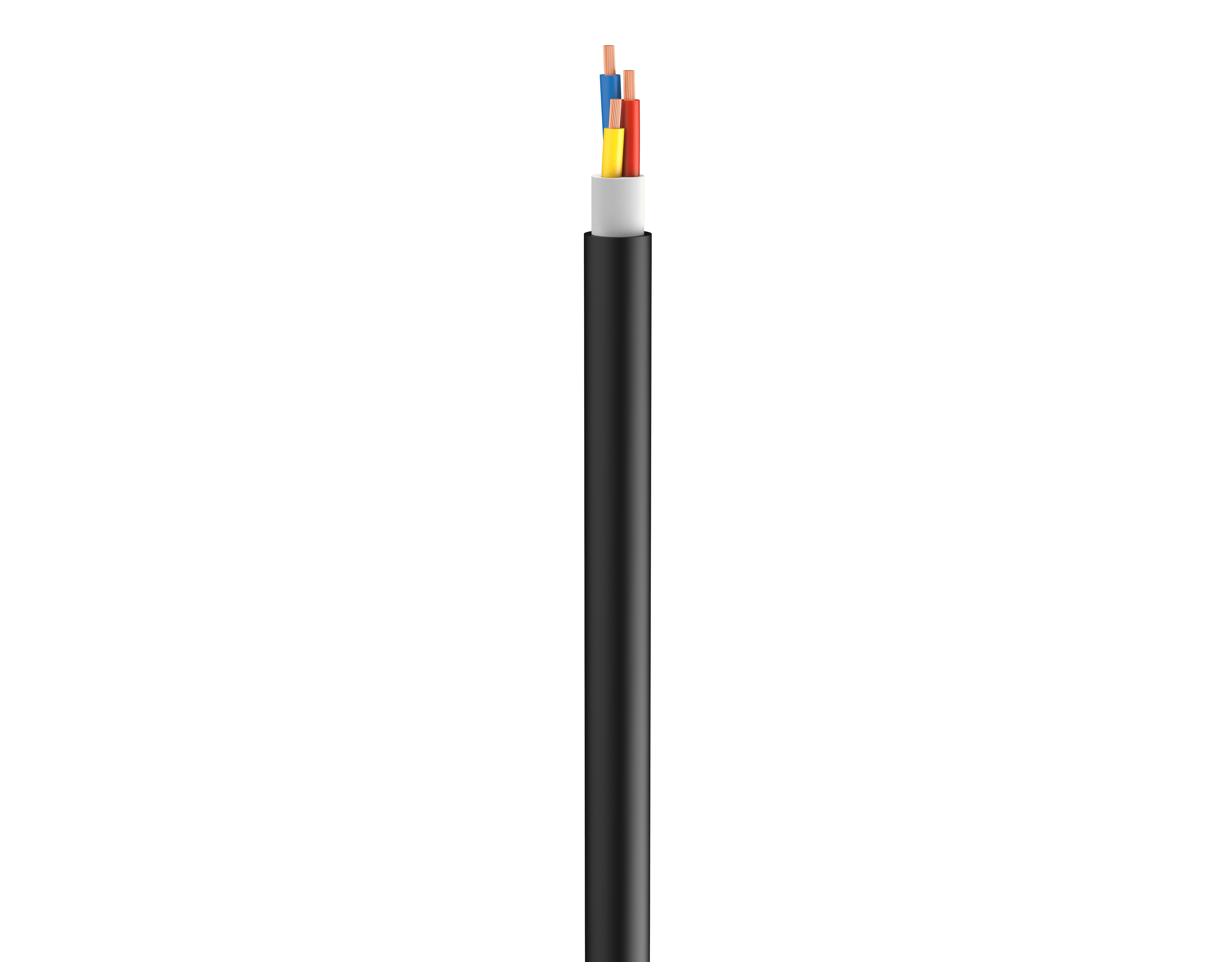 Vertical Image