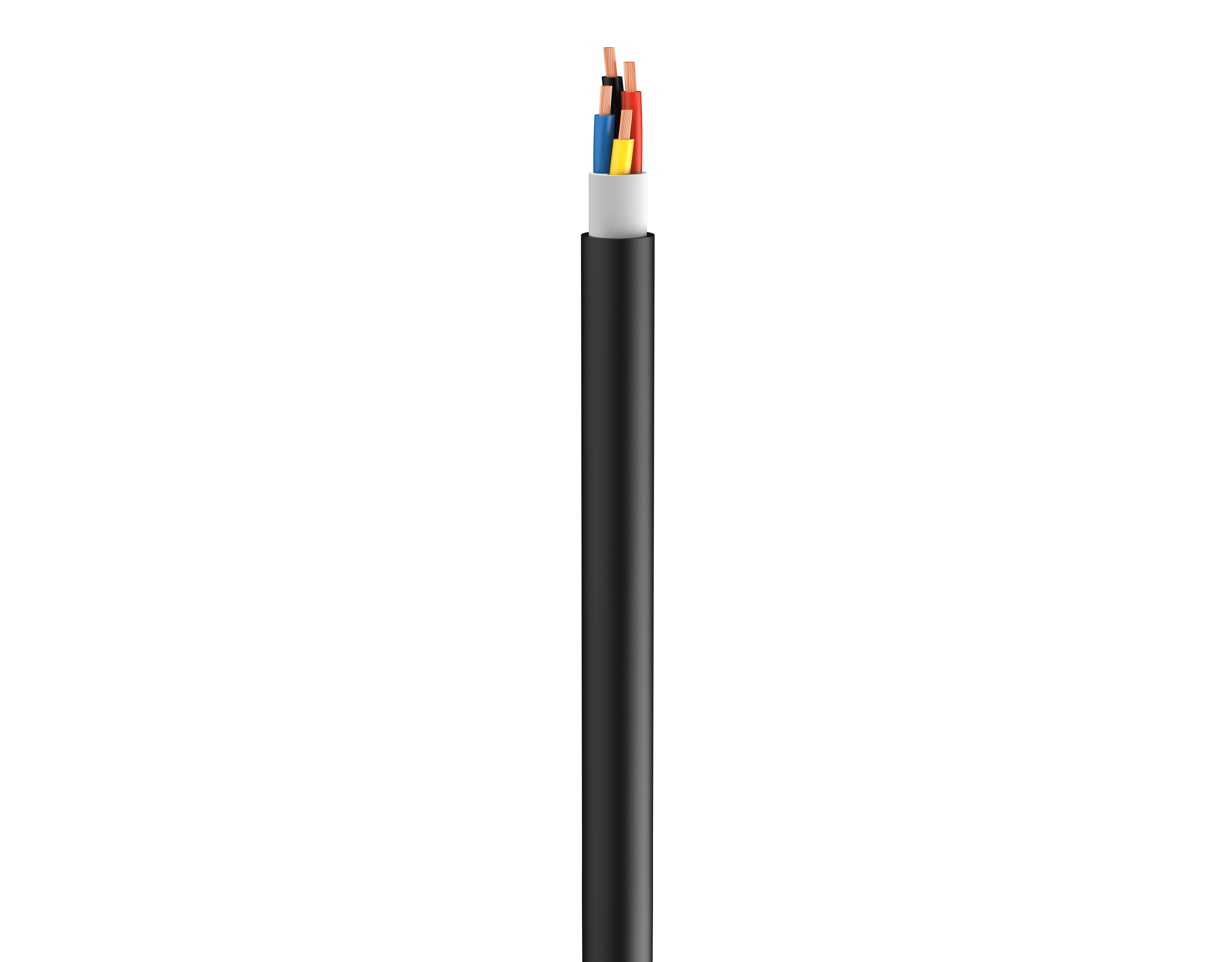 Vertical Image