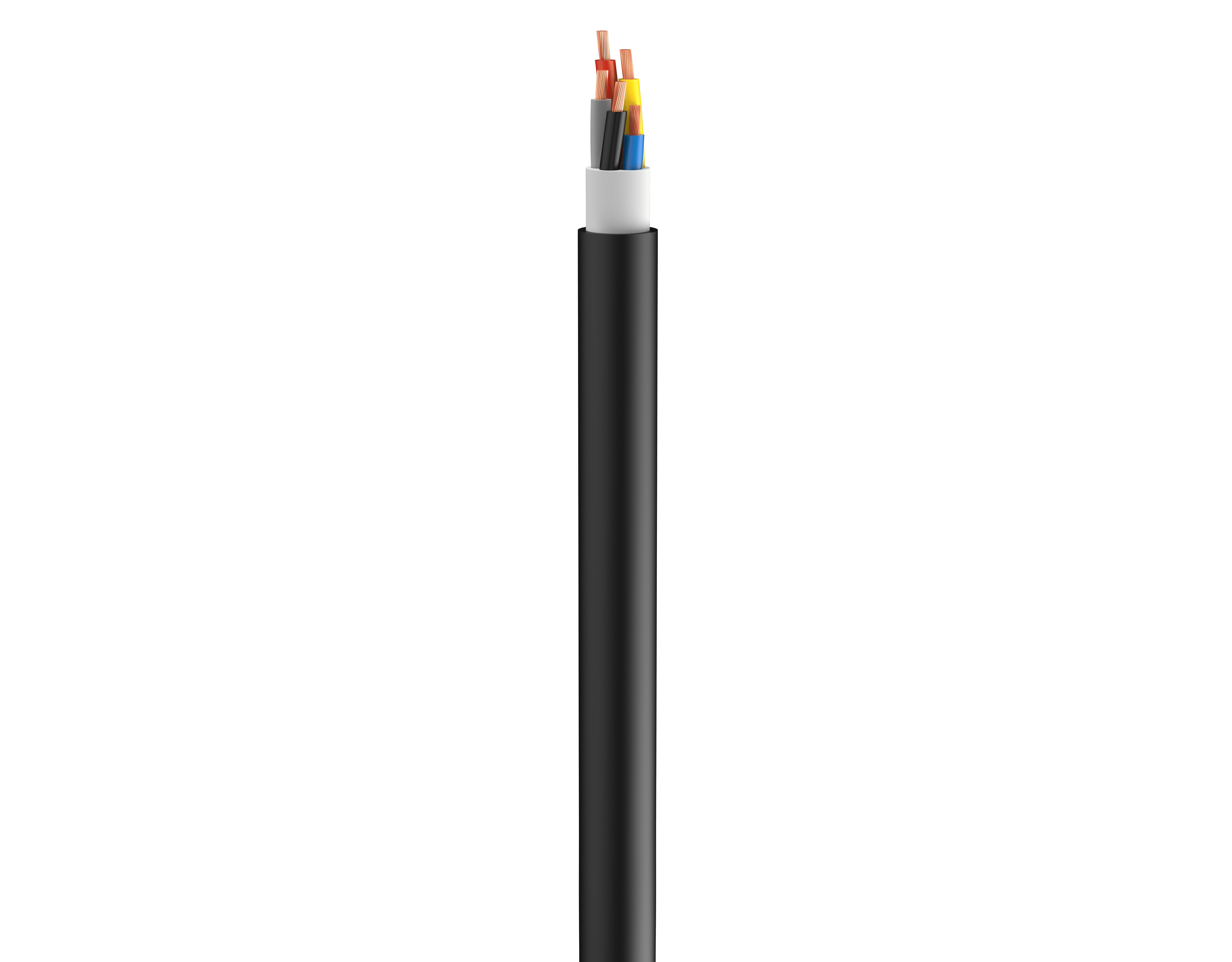 Vertical Image