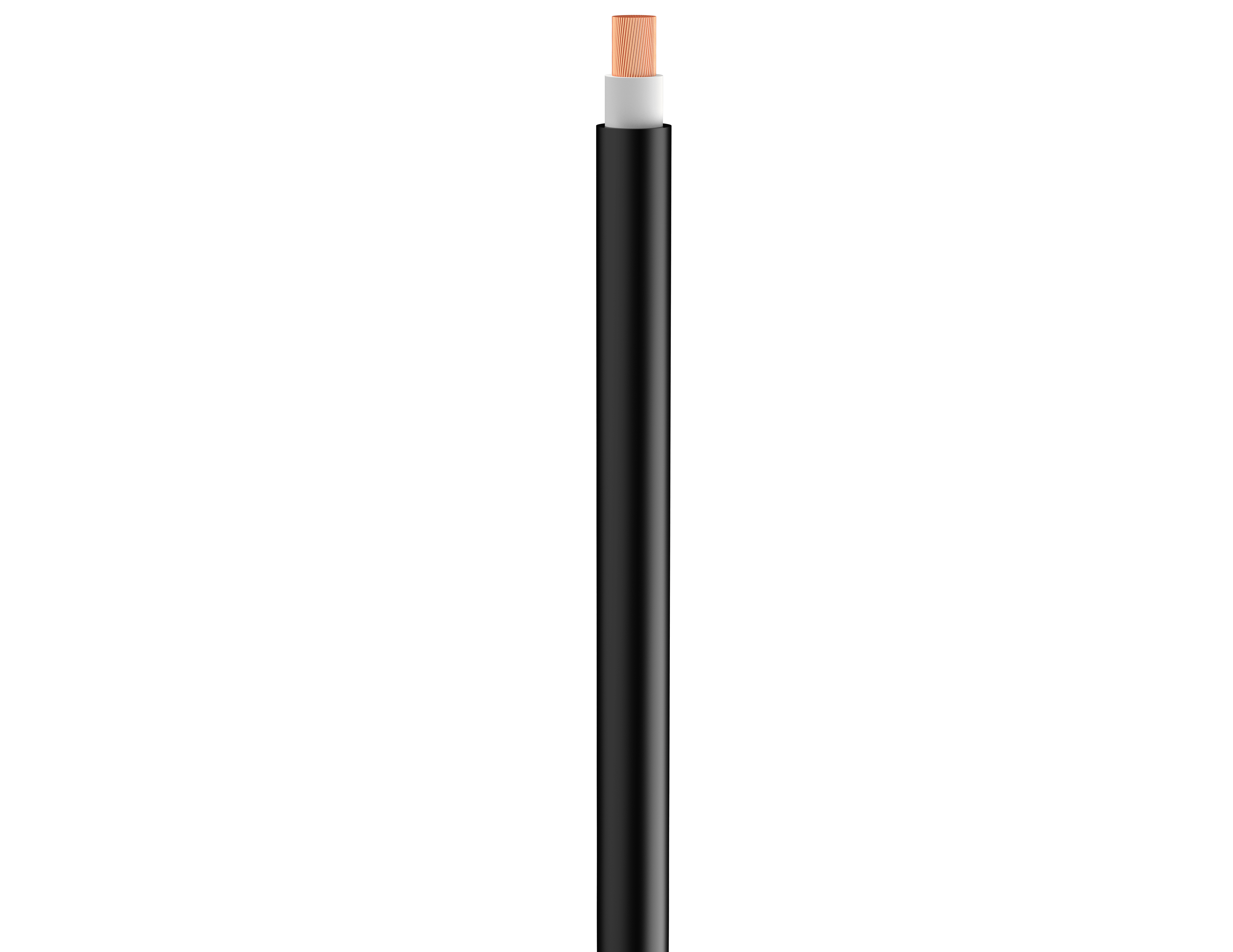 Vertical Image