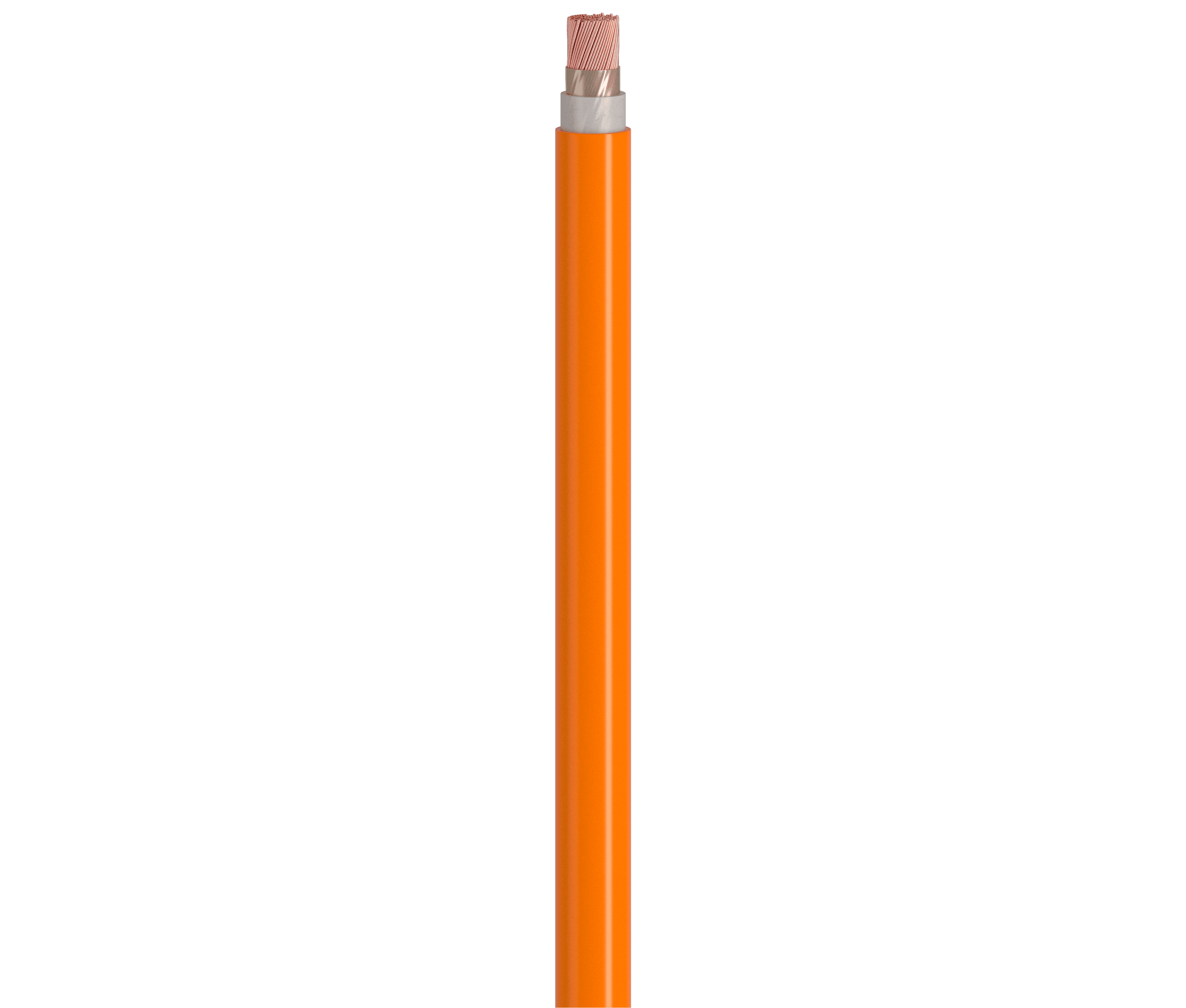 Vertical Image