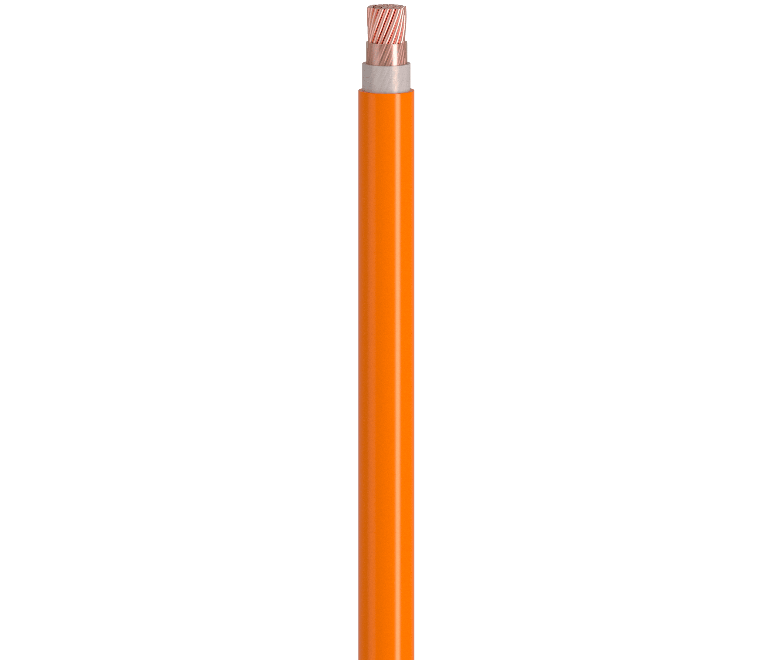 Vertical Image