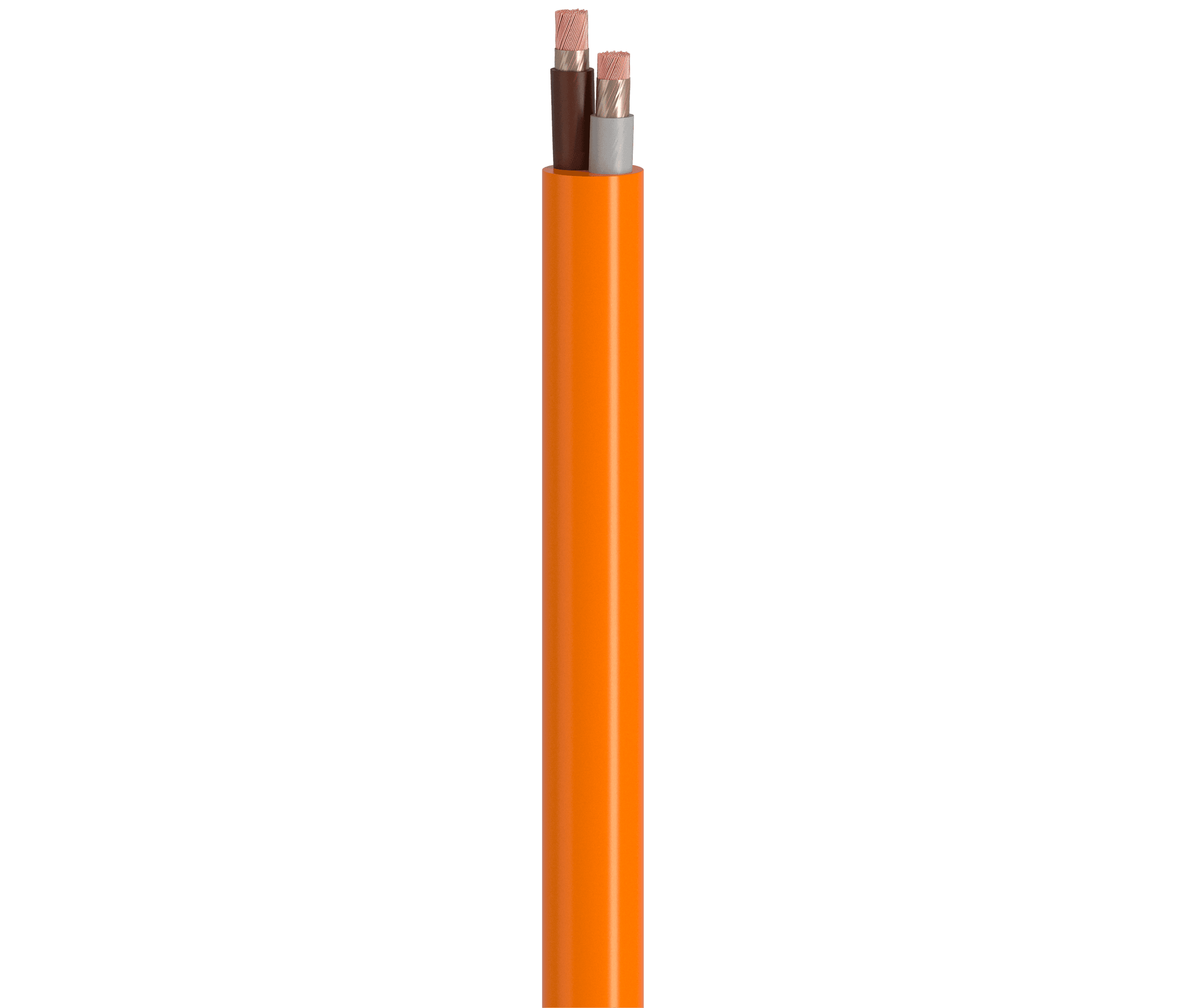 Vertical Image