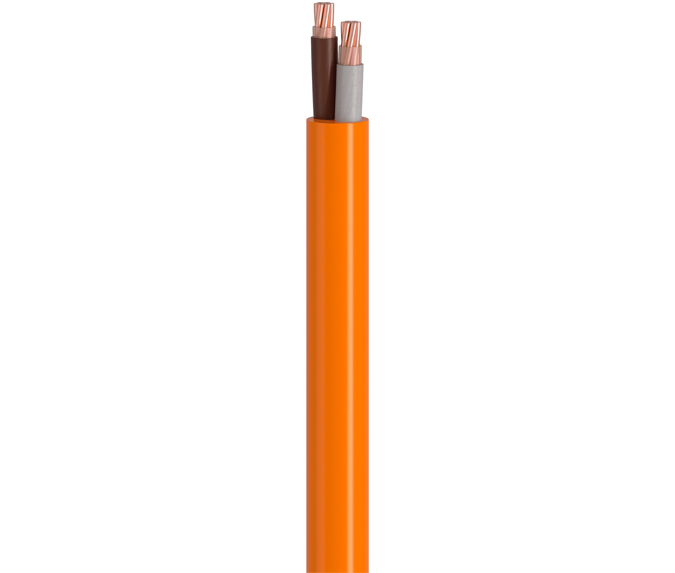 Vertical Image