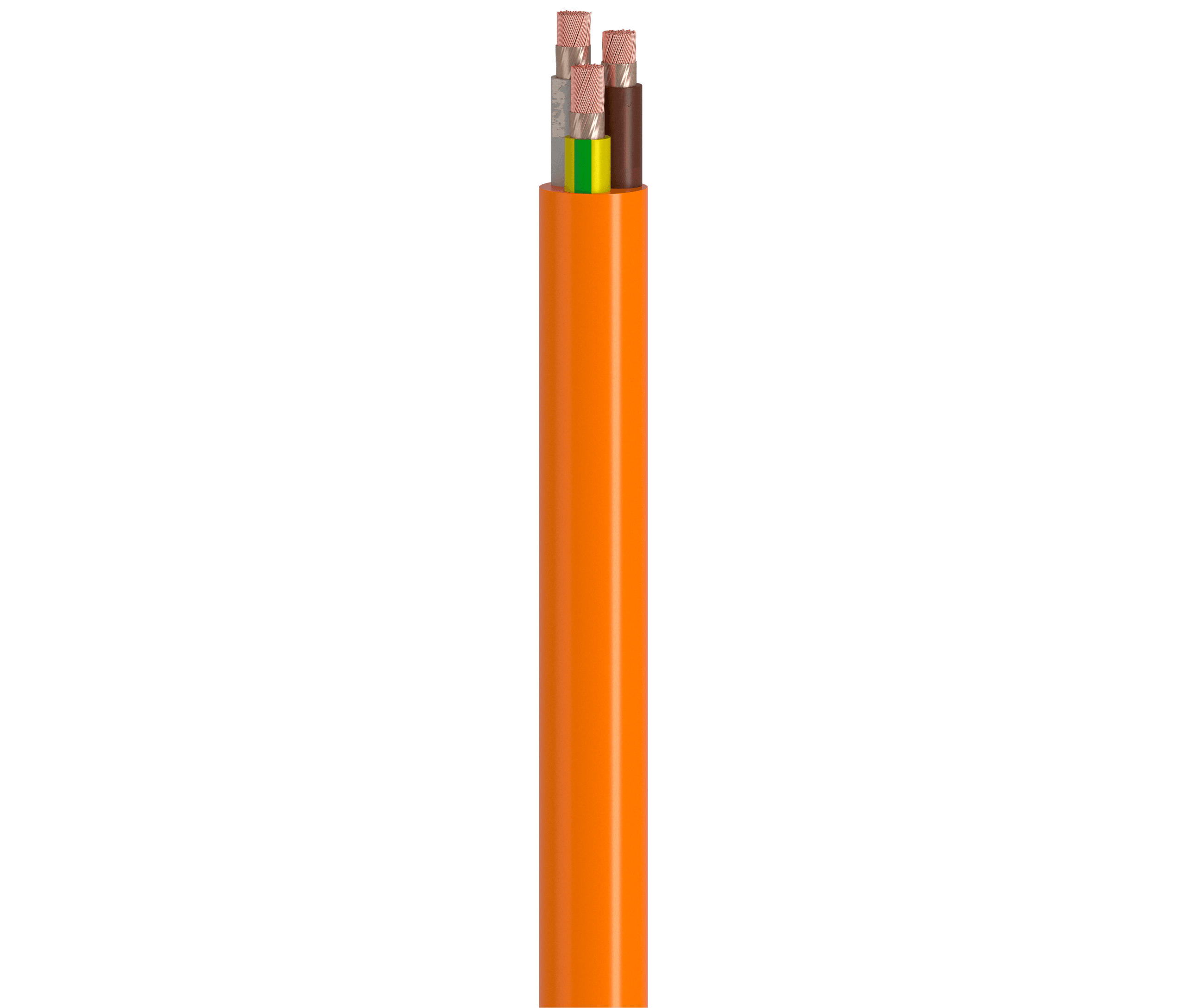 Vertical Image