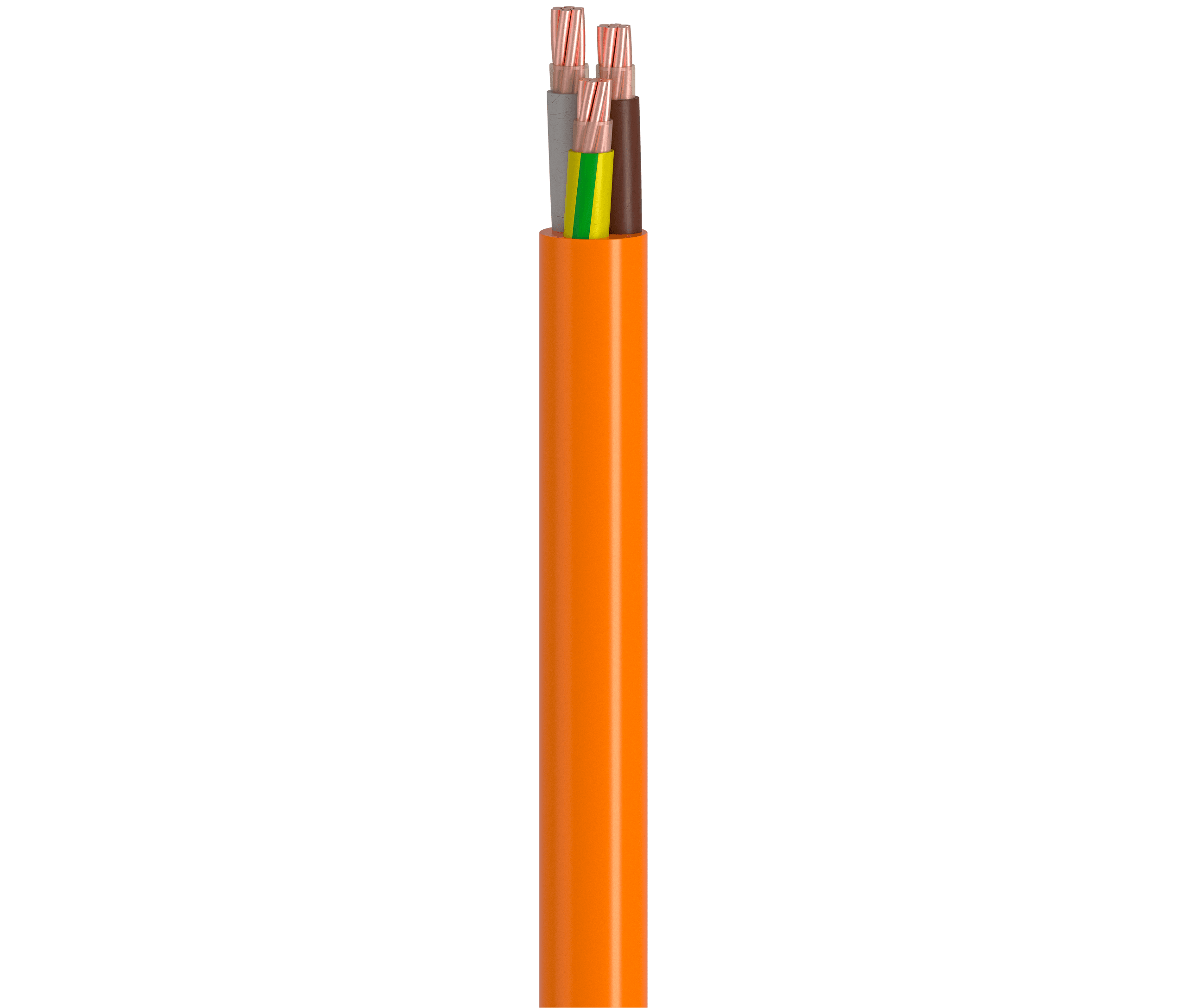 Vertical Image