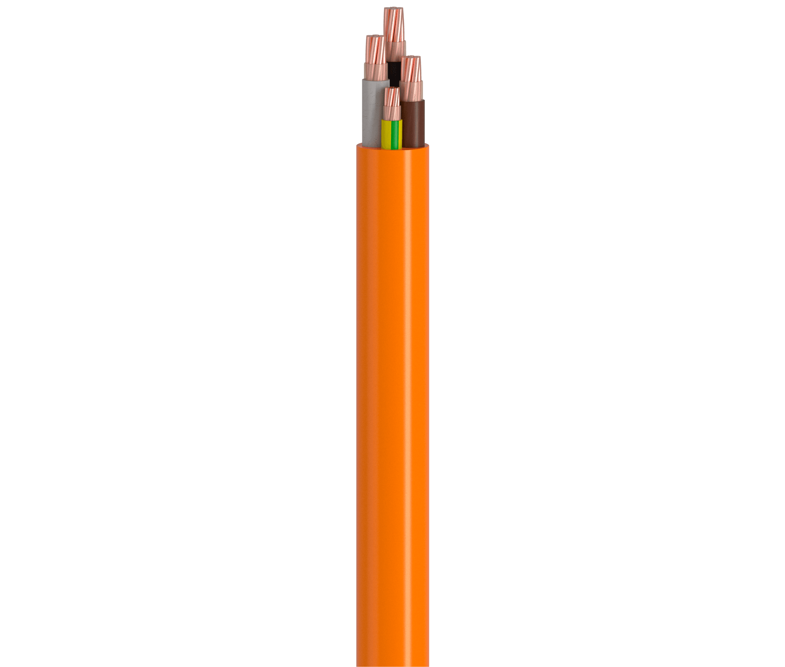 Vertical Image