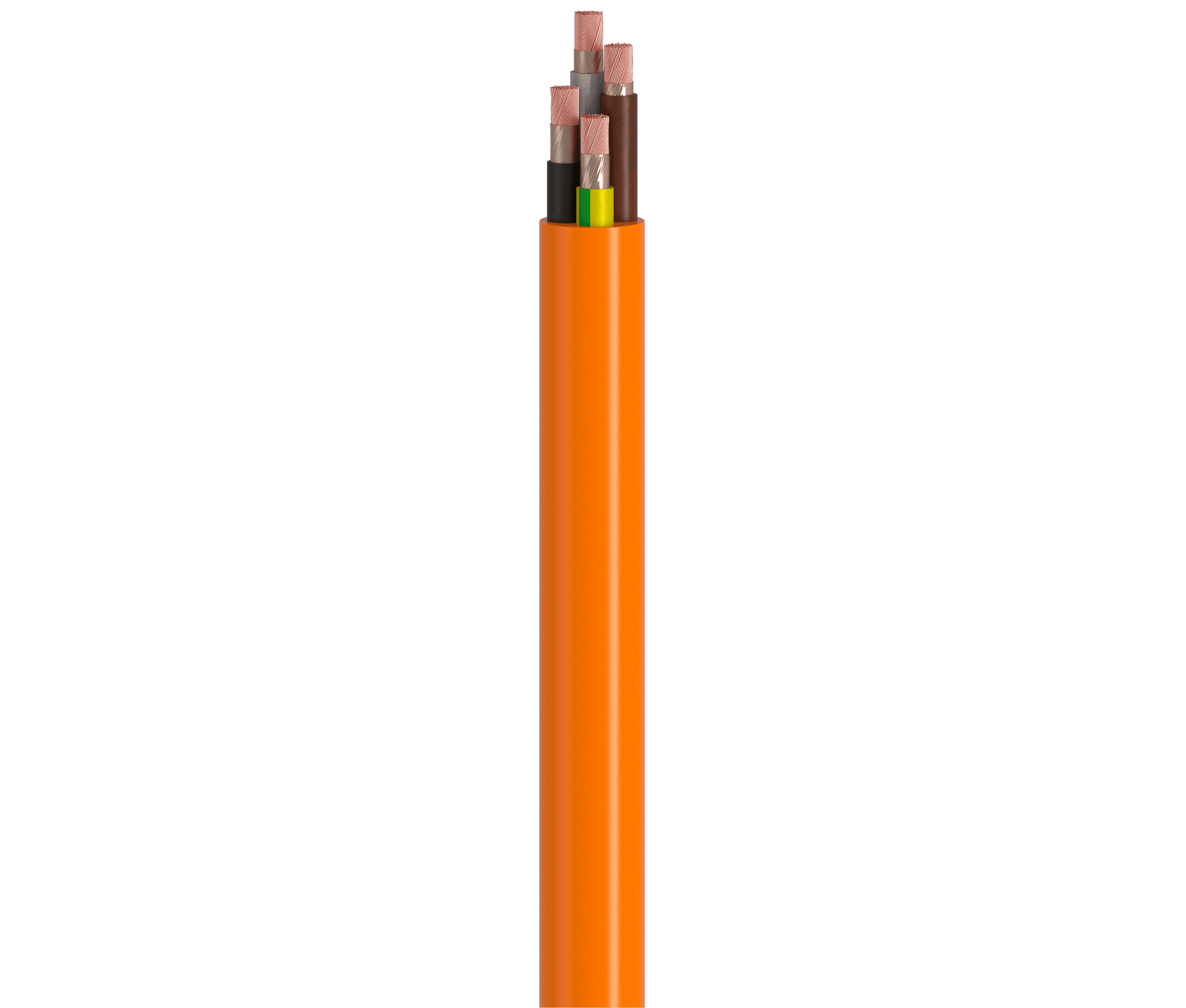 Vertical Image