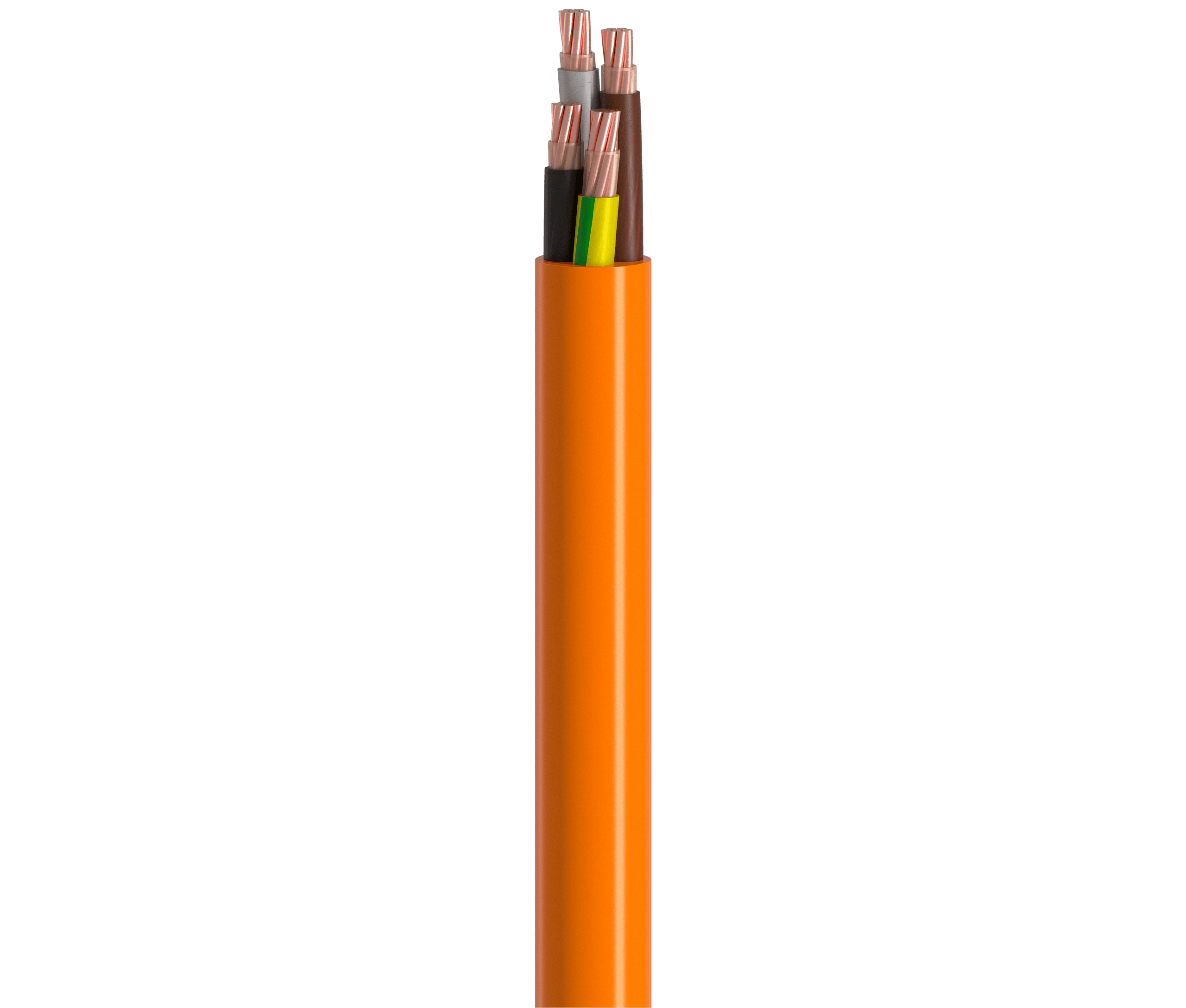 Vertical Image