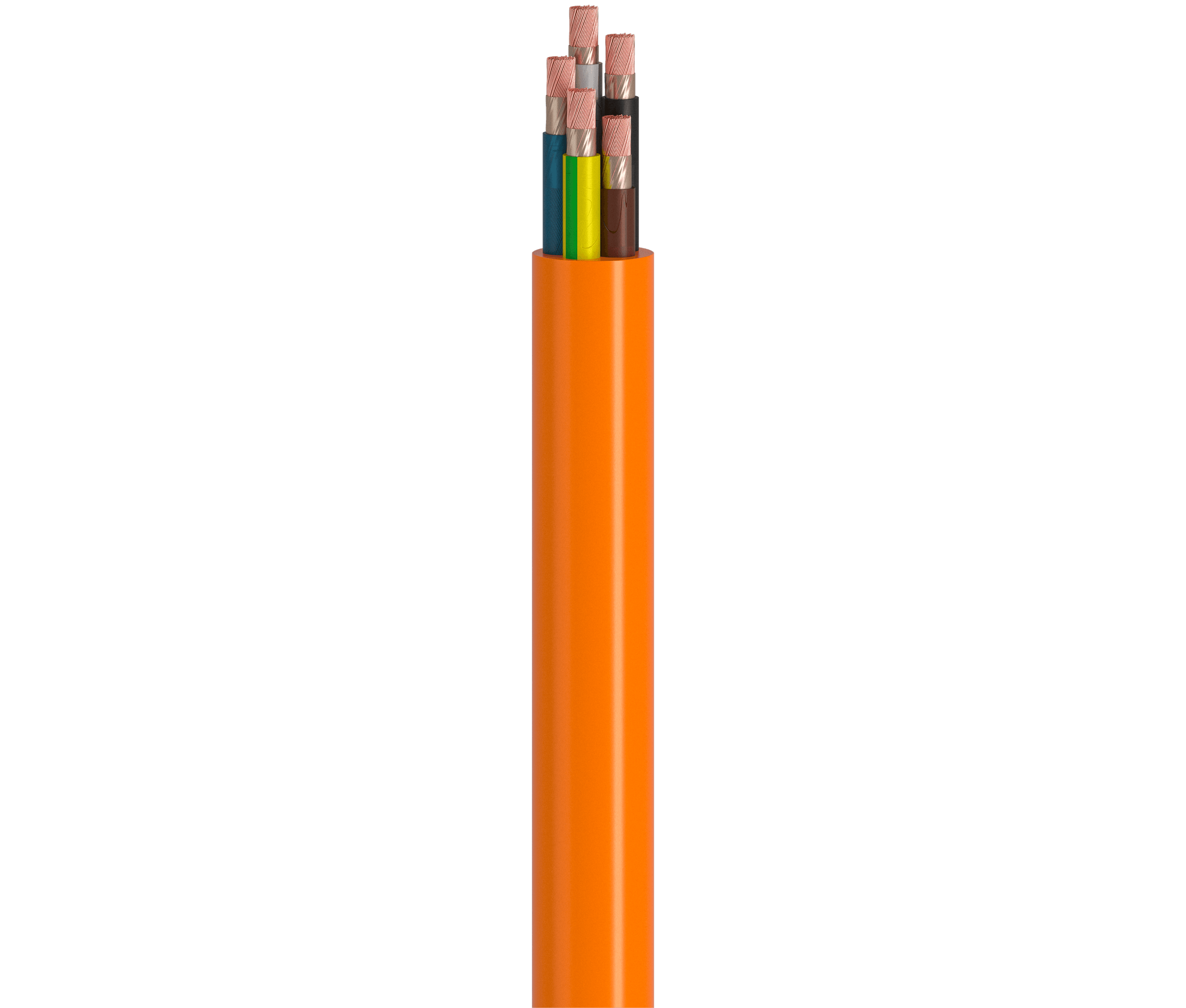 Vertical Image