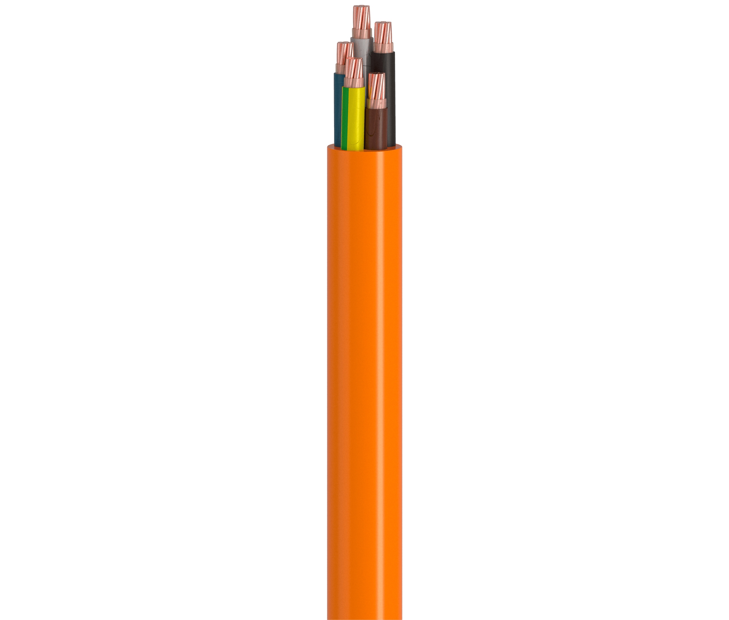 Vertical Image