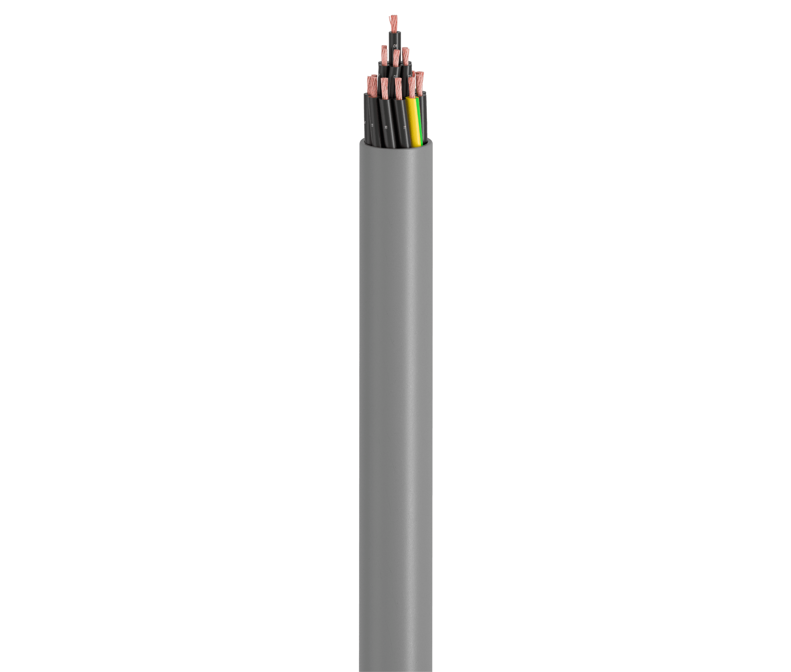 Vertical Image